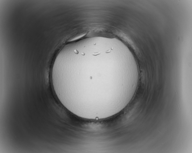 X0000088080537200706081731