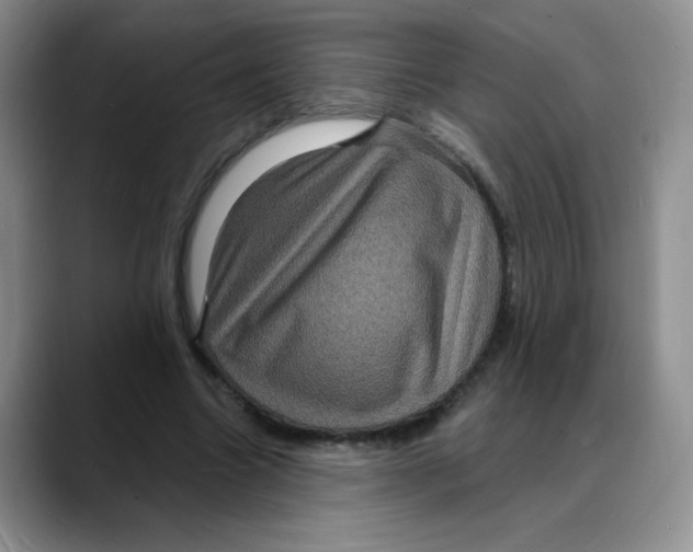 X0000088080538200706081731