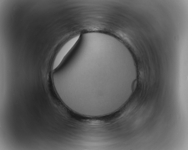 X0000088080539200706081731