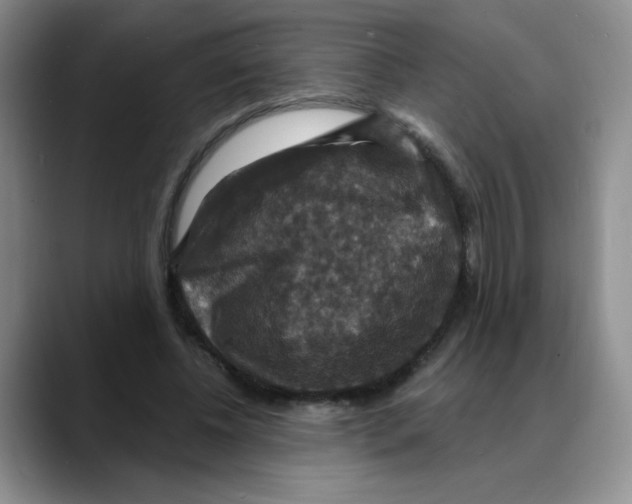 X0000088080540200706081731