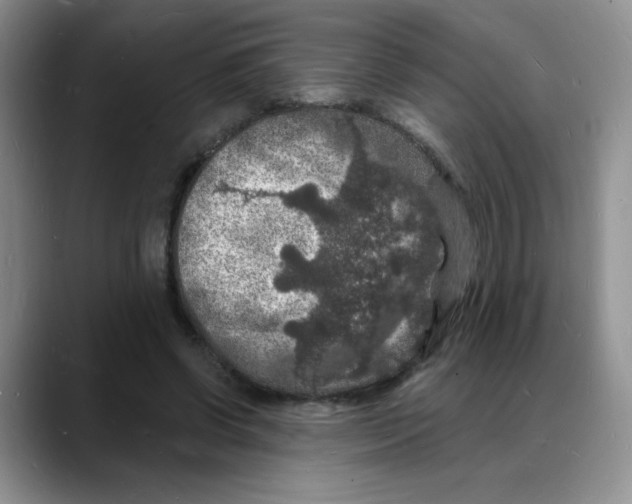 X0000088080542200706081731