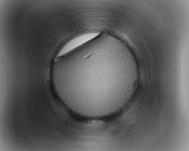 X0000088080543200706081731