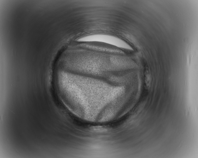 X0000088080544200706081731