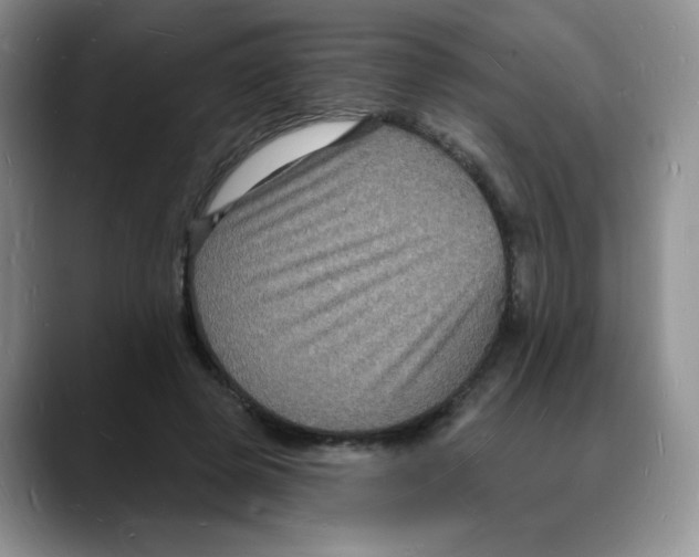 X0000088080545200706081731