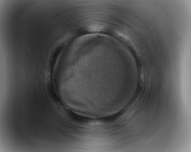 X0000088080547200706081732
