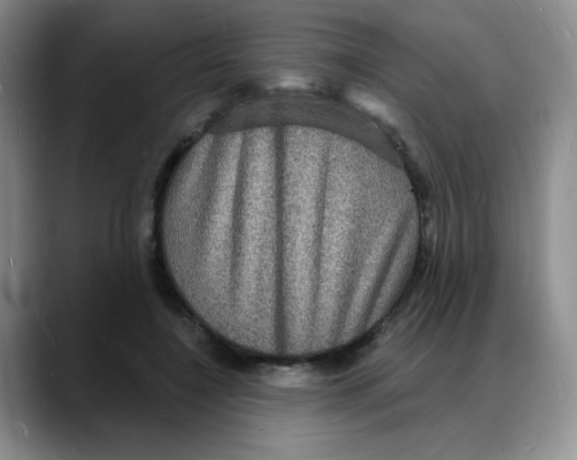 X0000088080548200706081732