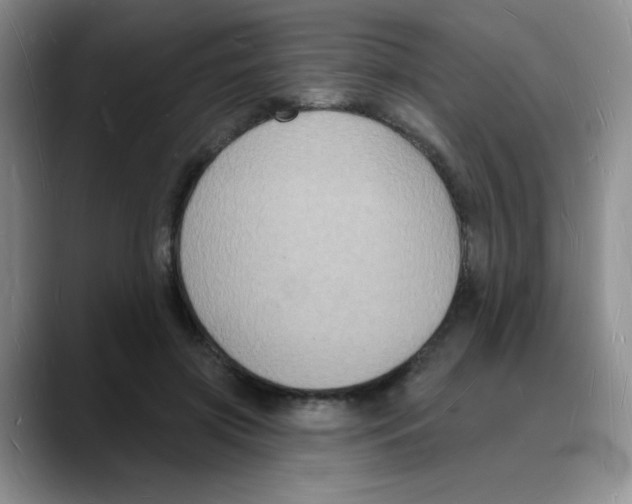 X0000088080549200706081732