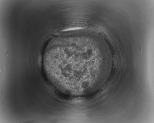 X0000088080550200706081732