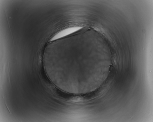 X0000088080551200706081732