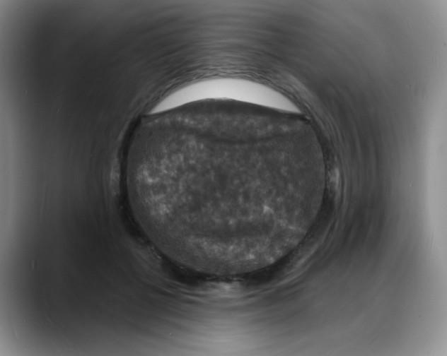 X0000088080552200706081732