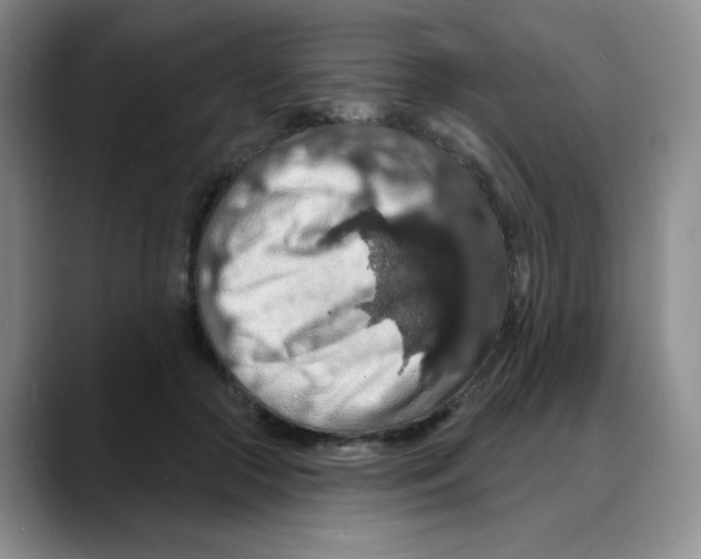 X0000088080553200706081732