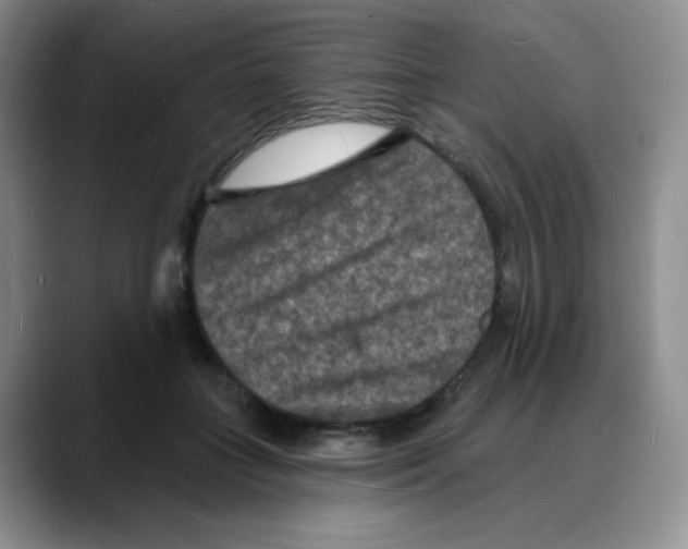 X0000088080555200706081732