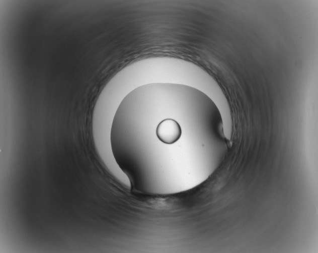 X0000088080558200706081732