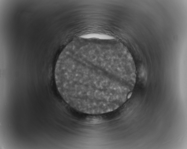 X0000088080559200706081732