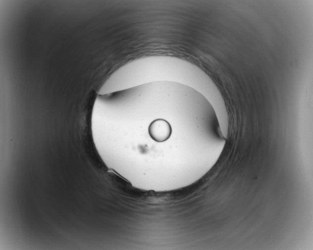 X0000088080560200706081732