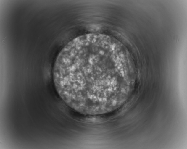 X0000088080561200706081732