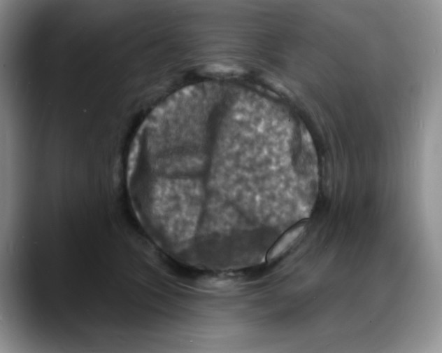 X0000088080563200706081732