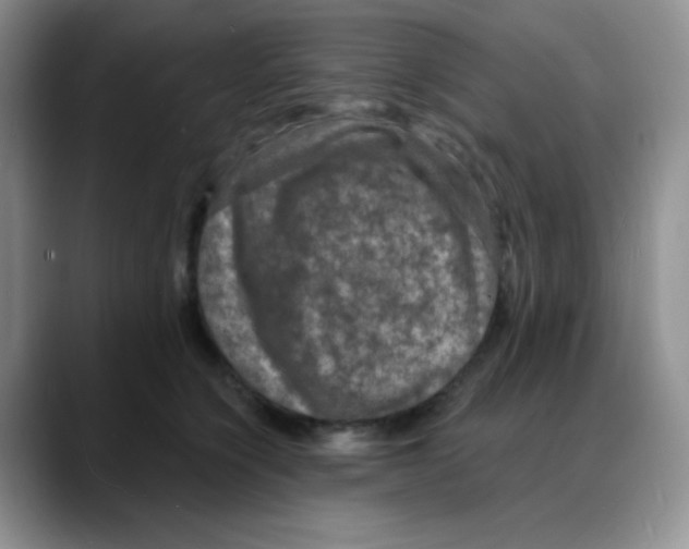 X0000088080564200706081732