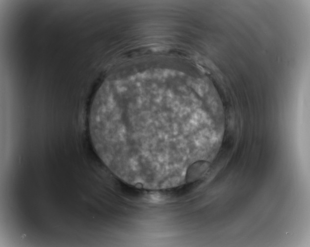 X0000088080565200706081732