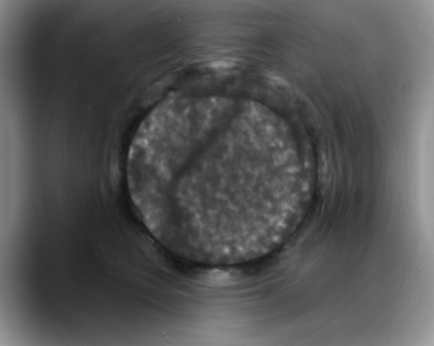 X0000088080566200706081732
