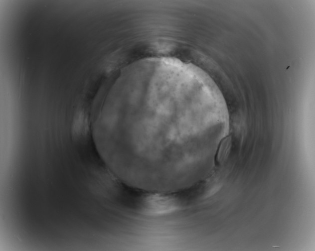 X0000088080568200706081732