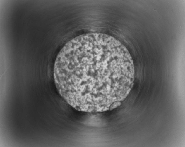 X0000088080569200706081732