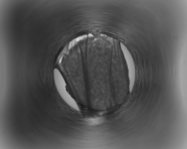 X0000088080570200706081732
