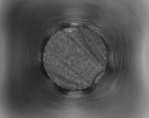 X0000088080571200706081732