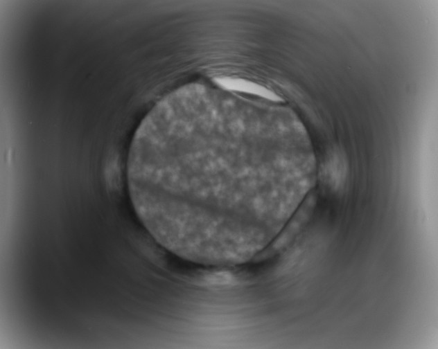 X0000088080572200706081732