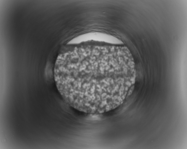 X0000088080573200706081732