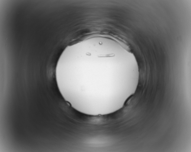 X0000088080574200706081732