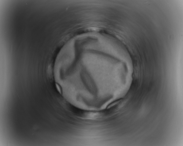 X0000088080575200706081732