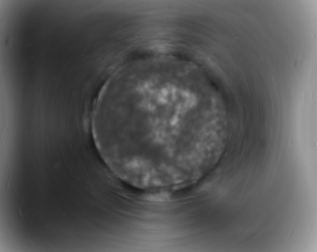 X0000088080576200706081732