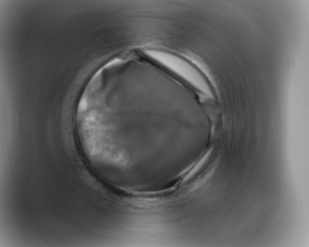 X0000088080577200706081731