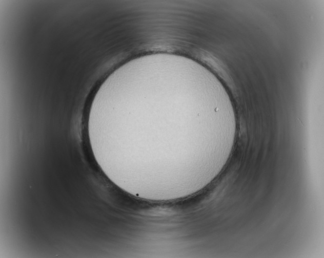 X0000088080578200706081731