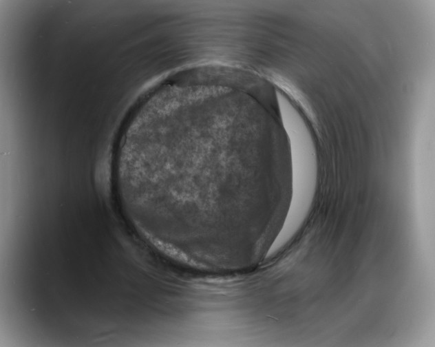 X0000088080580200706081731