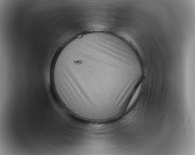 X0000088080582200706081731