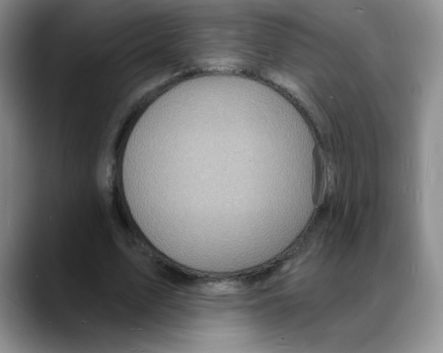 X0000088080583200706081731