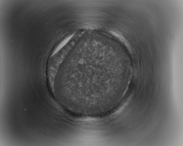 X0000088080585200706081731
