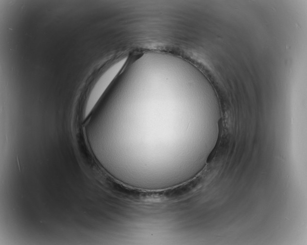 X0000088080587200706081731
