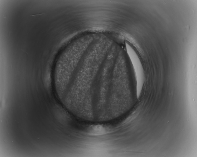 X0000088080588200706081731