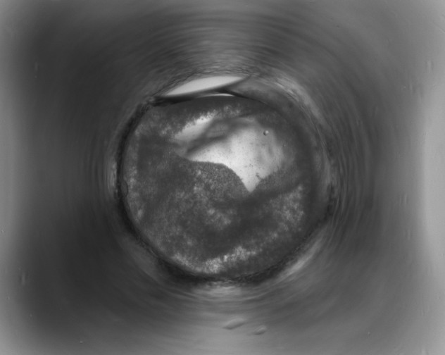 X0000088080589200706081731