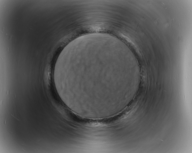 X0000088080590200706081731
