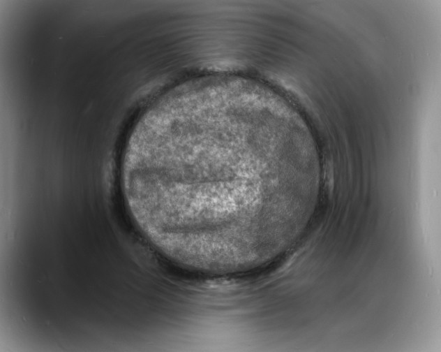X0000088080591200706081731