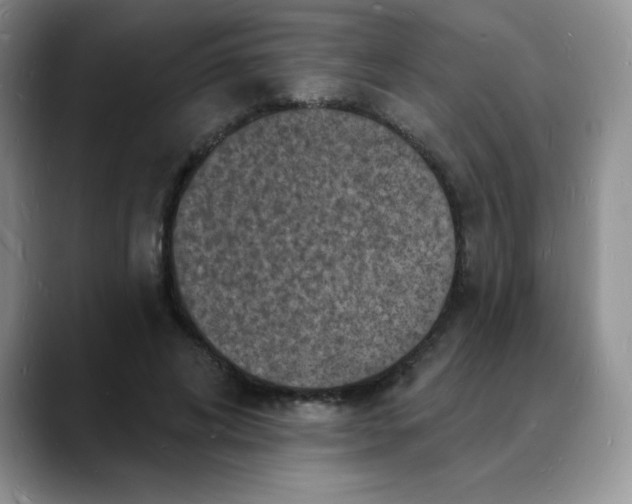 X0000088080592200706081731