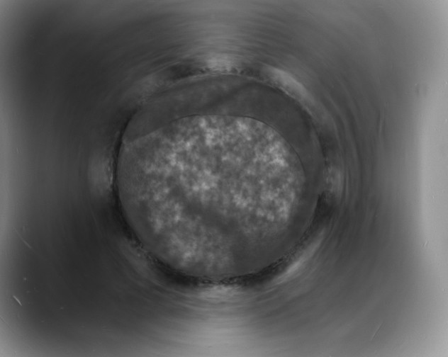 X0000088080593200706081731