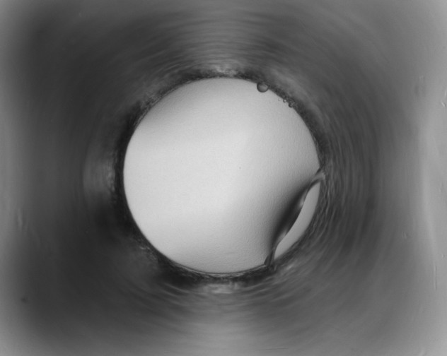 X0000088080595200706081731
