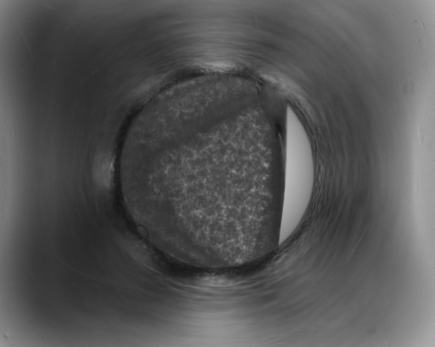 X0000088080596200706081731