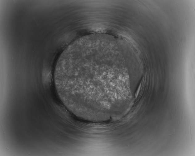 X0000088080597200706081731