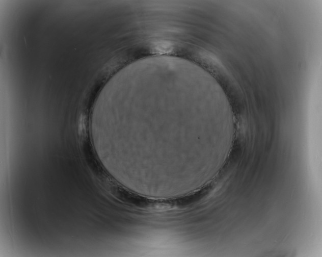 X0000088080598200706081731